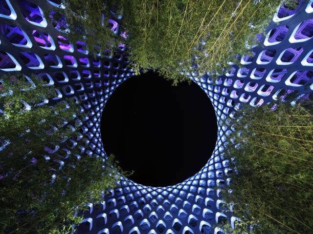 112610252f54014474.jpg