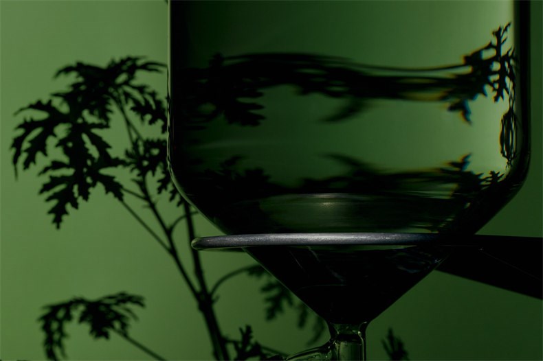 Geranium Leaf 2025 PR Campaign Hero Image 02 2000 x 1333.jpg